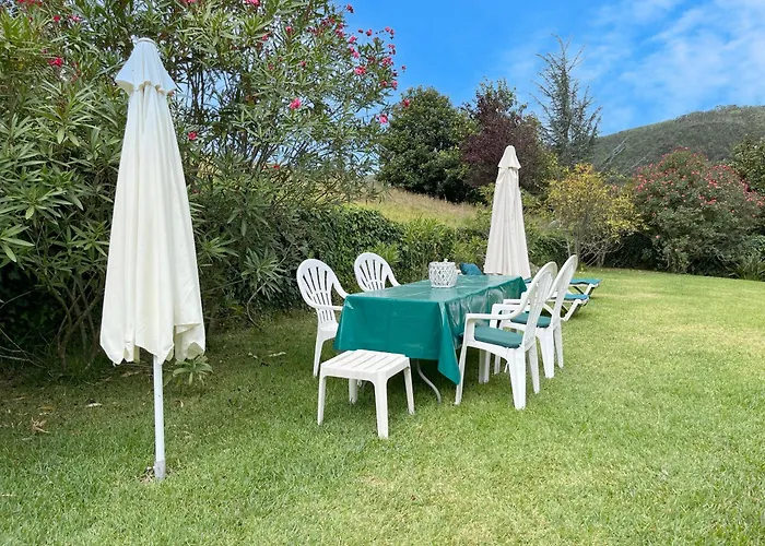 펜션 Casa Do Laranjal 빌라노바데파말리카오